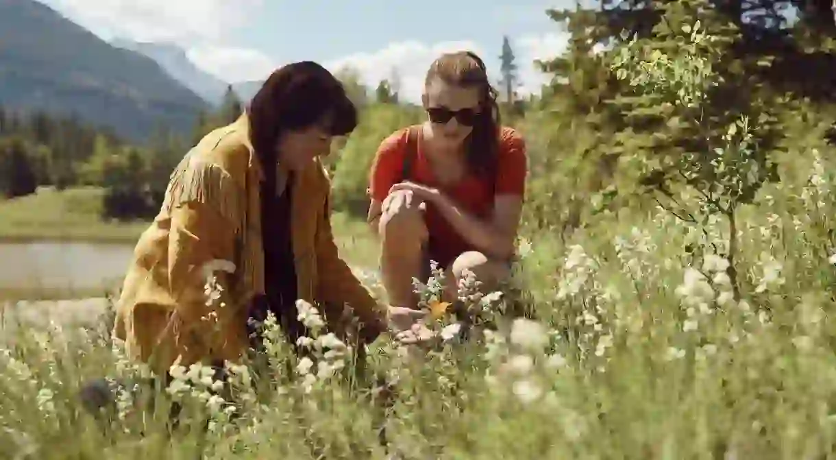 A visitor with guide Brenda on a medicine walk in the Mahikan Trails, learning about plants and their healing benefits