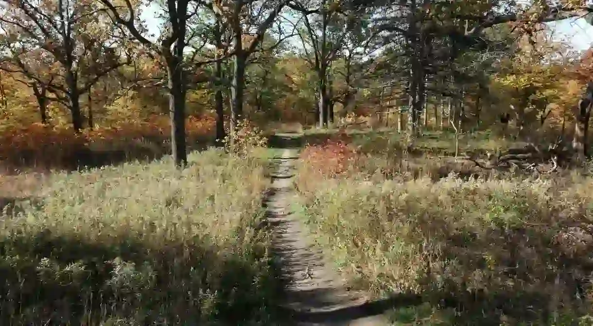 The starting point of one of High Parks many hiking trails.