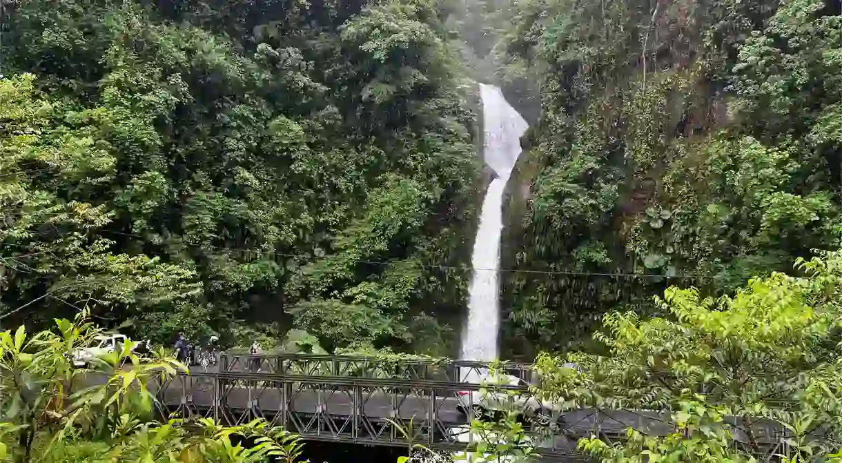 A waterfall sprouting from verdant rainforest flora – a common but endlessly beautiful sight in Costa Rica