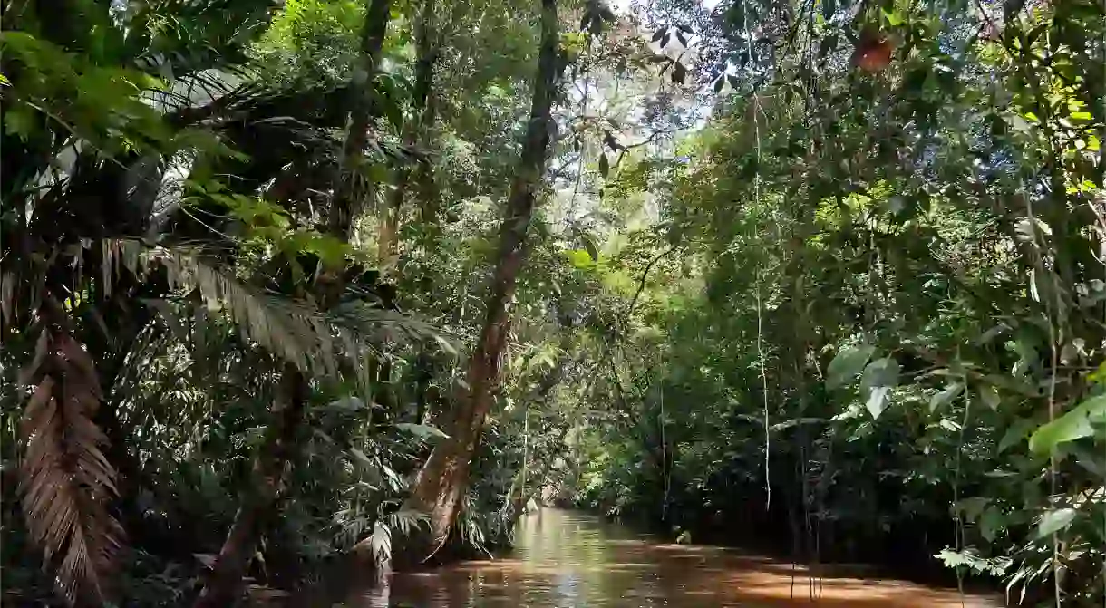 Magical sights like this will quickly become normal during your week in Costa Rica