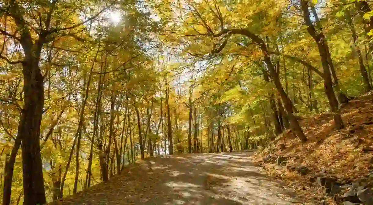 Mount Royal Park, Montréal, Canada