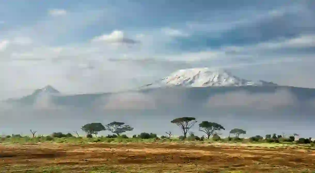 View of Kilimanjaro from Amboseli National Park, Kenya