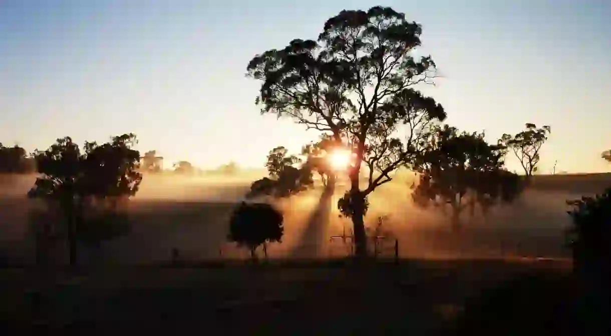 Sunrise over a New South Wales farm in Australia