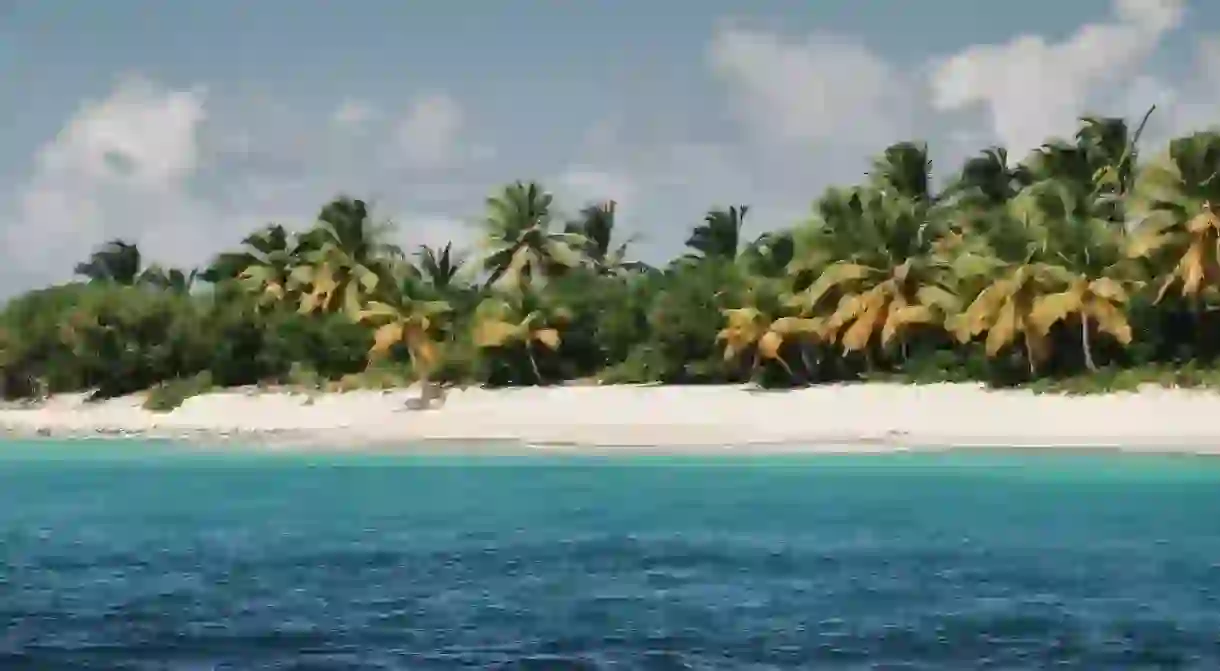 Beach with palm trees in British Virgin Islands