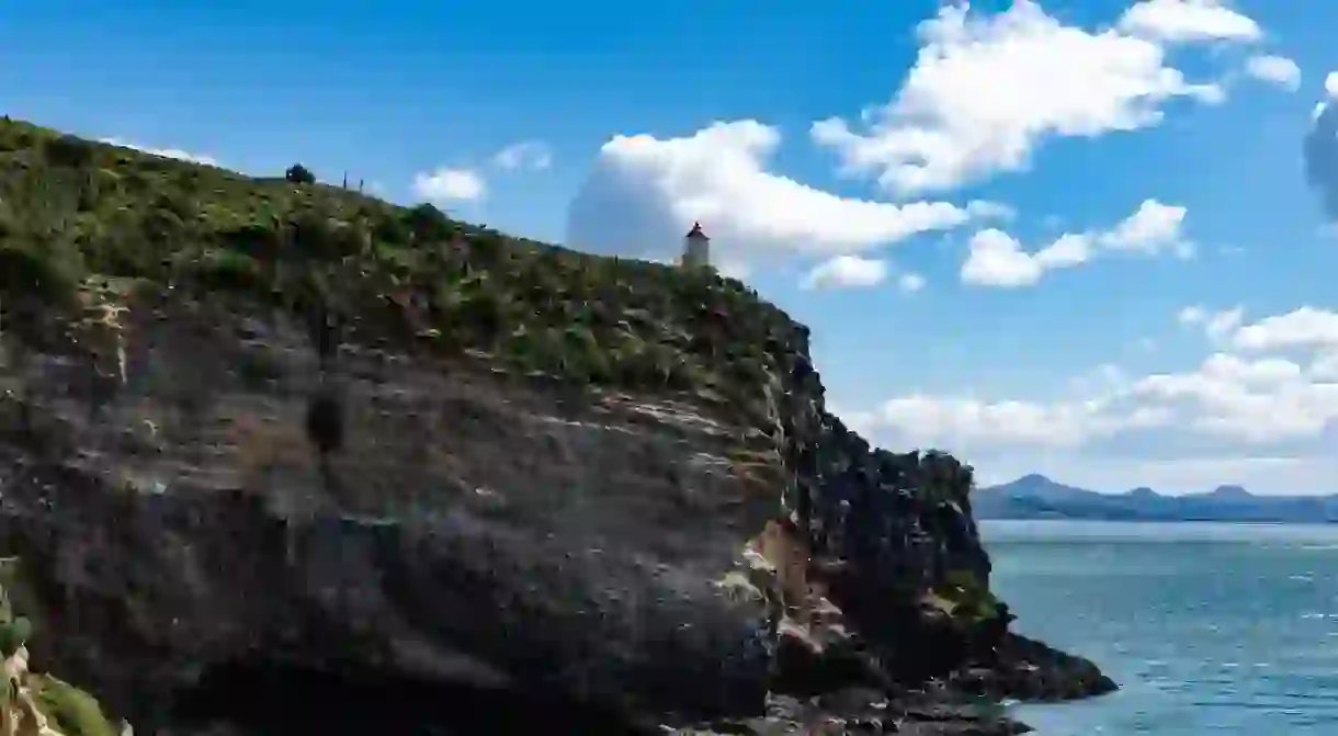 Otago Peninsula, Dunedin, New Zealand