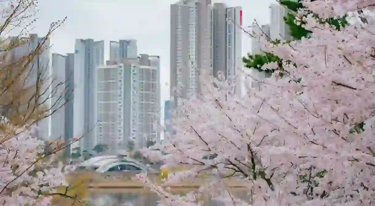 Cherry blossom season is just one of the many reasons to travel during April