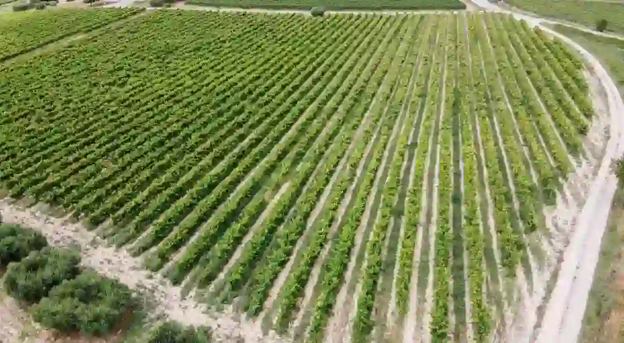 Vilafranca del Penedès, Catalonia