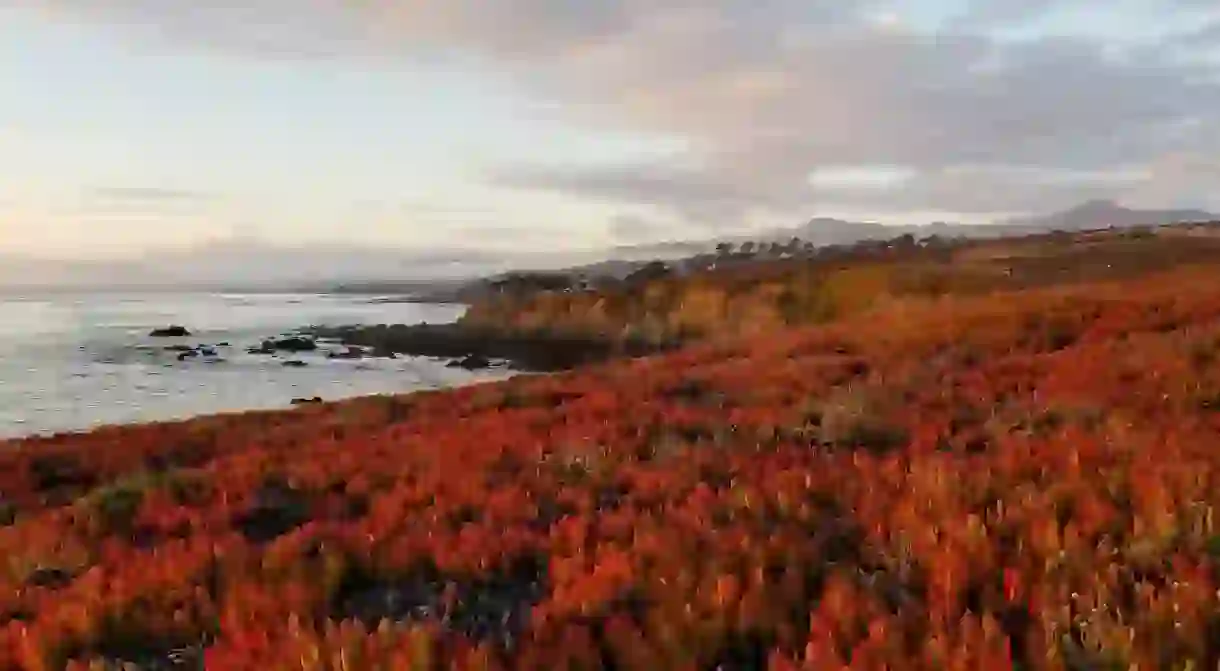 Cambria, California, United States