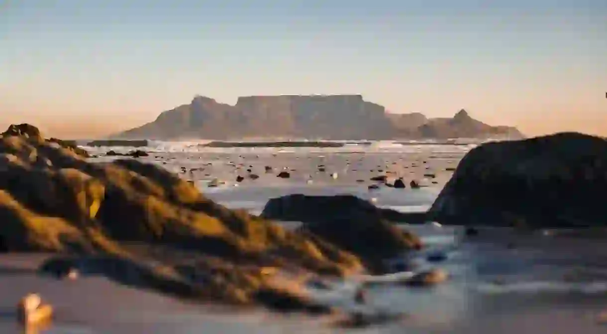 Table Mountain, Cape Town, South Africa