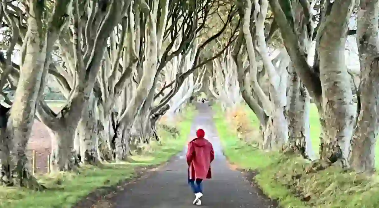 The Dark Hedges featured in Game of Thrones