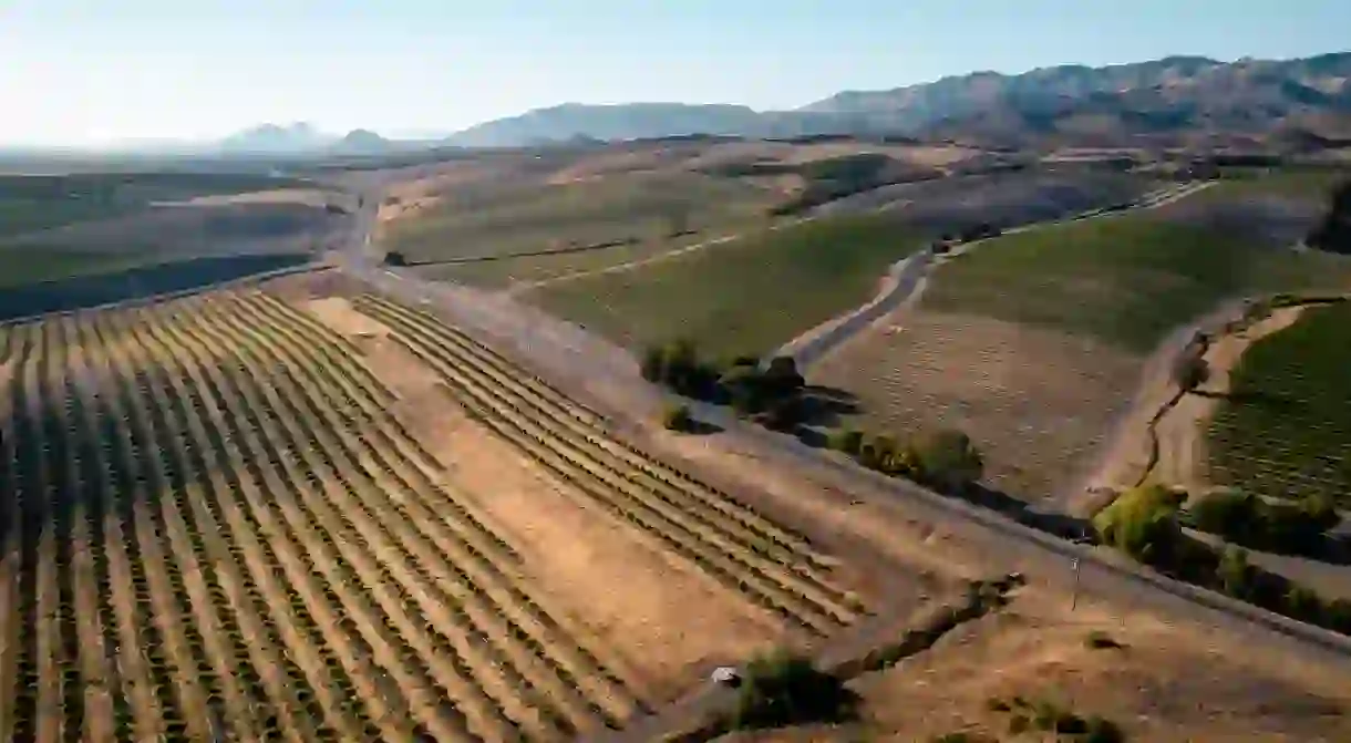 With acres of vineyards and plentiful wine tasting rooms, San Luis Obispo County is growing in popularity