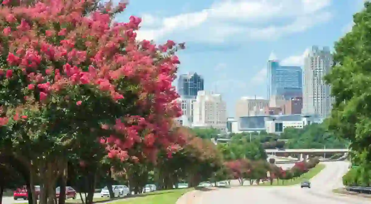 Raleigh, North Carolina