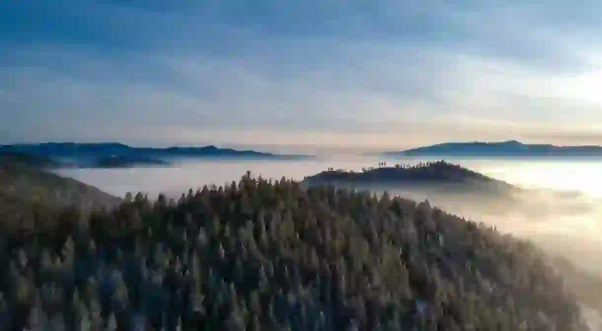 An aerial view of foggy forest and mountain landscape in Missoula, Montana, USA