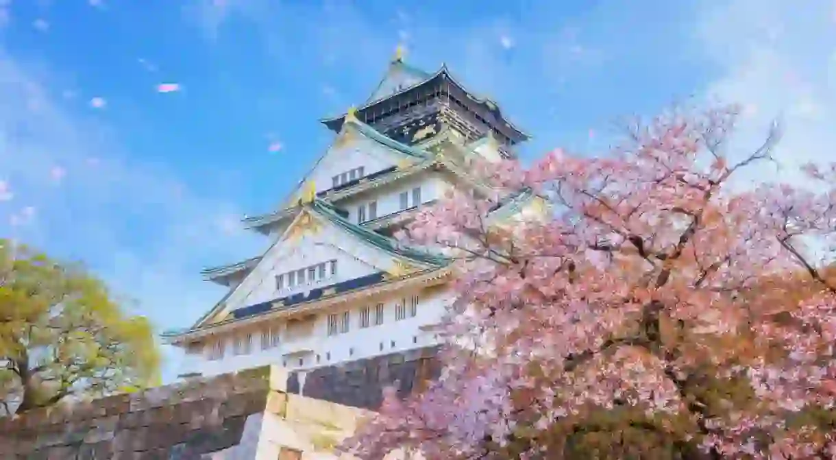 Osaka Castle in Osaka, Japan is one of Osakas most popular hanami spots during the cherry blossom season