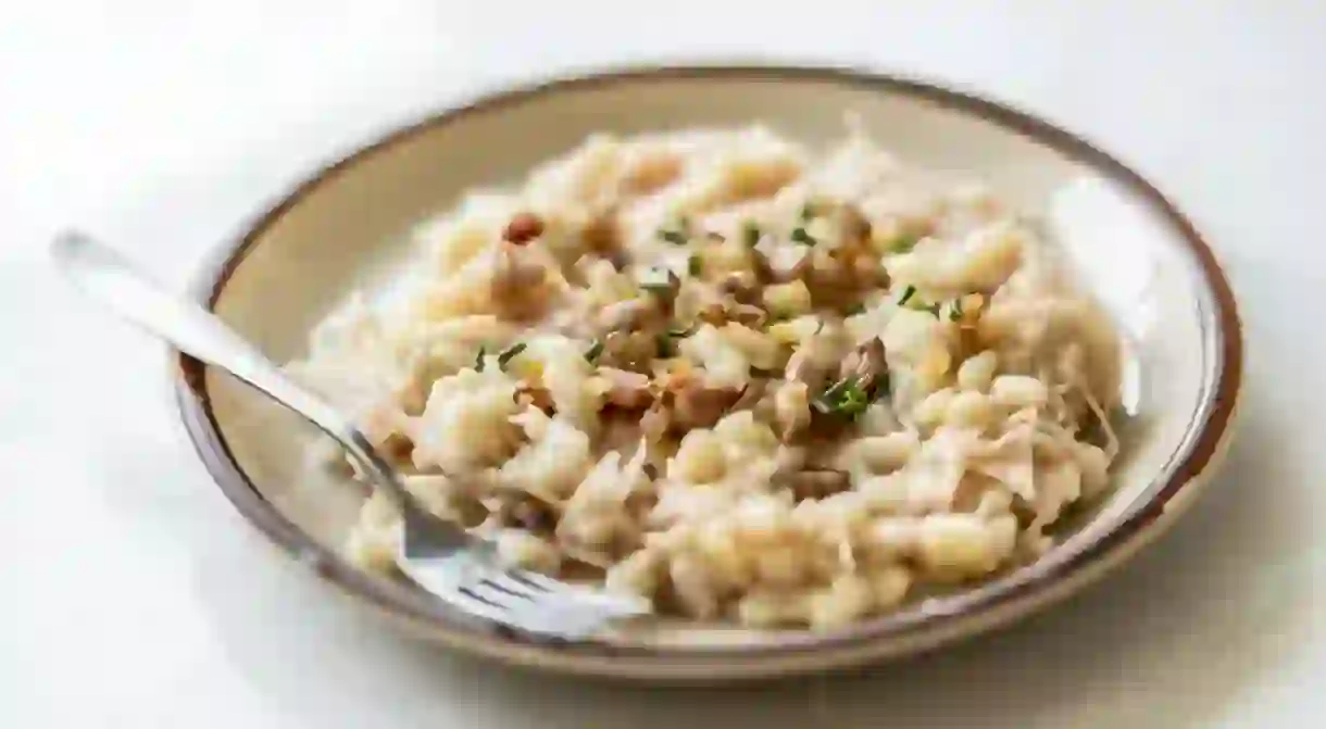 Traditional Slovak dish Halusky - Strapacky with sauerkraut on a plate.