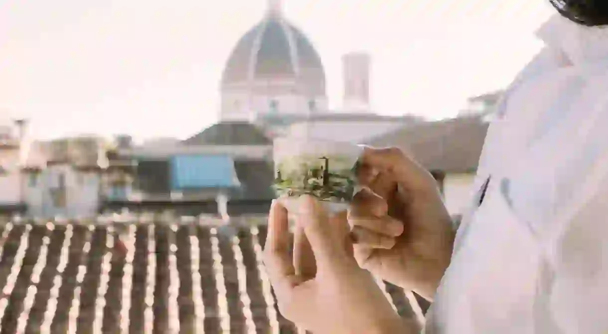 Female hand with a cup of coffee on the background of the Duomo in Florence