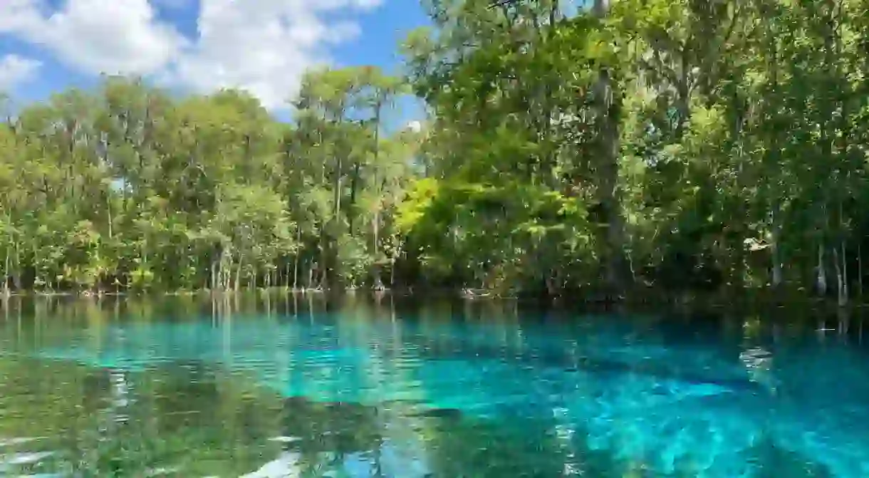 Silver springs state park springs