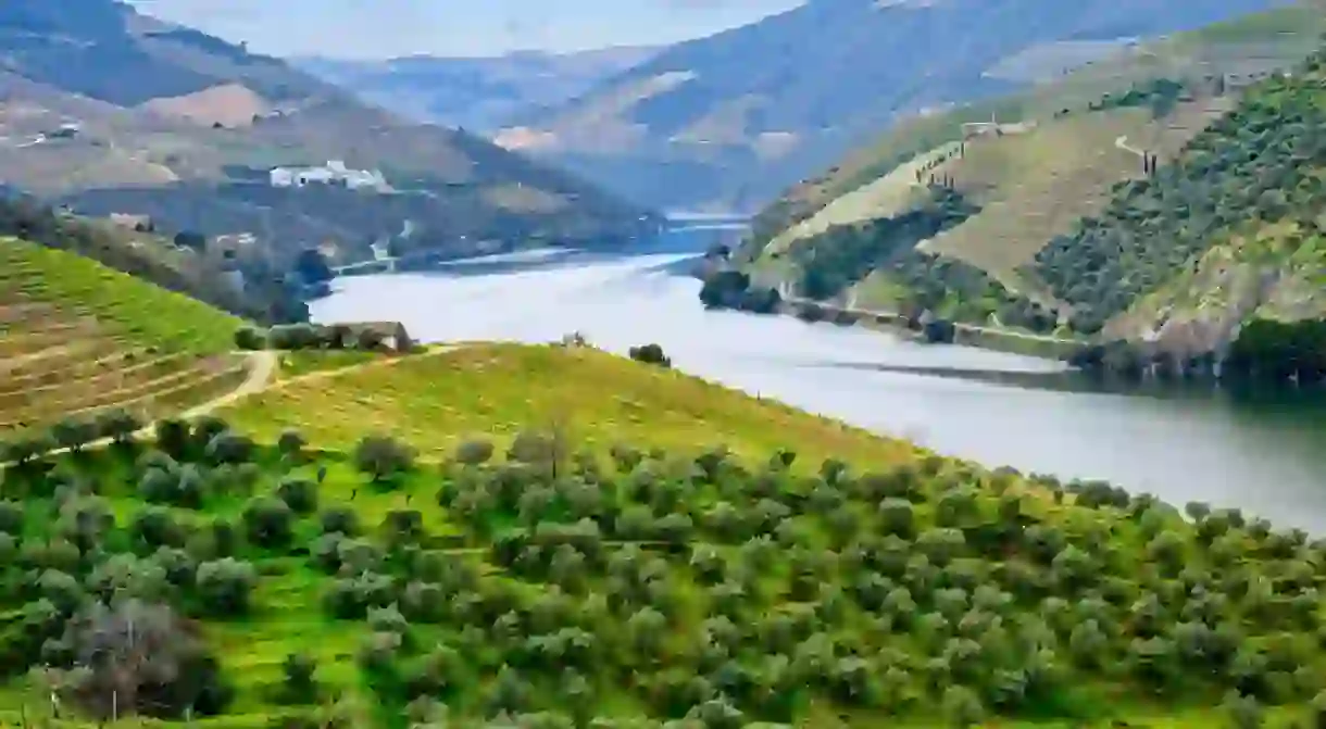 Douro River and Valley, Portugal