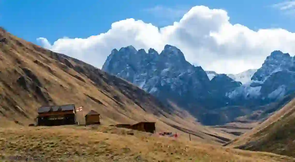 The Majestic and Beautiful Nature of the Georgia State Trekking Trail