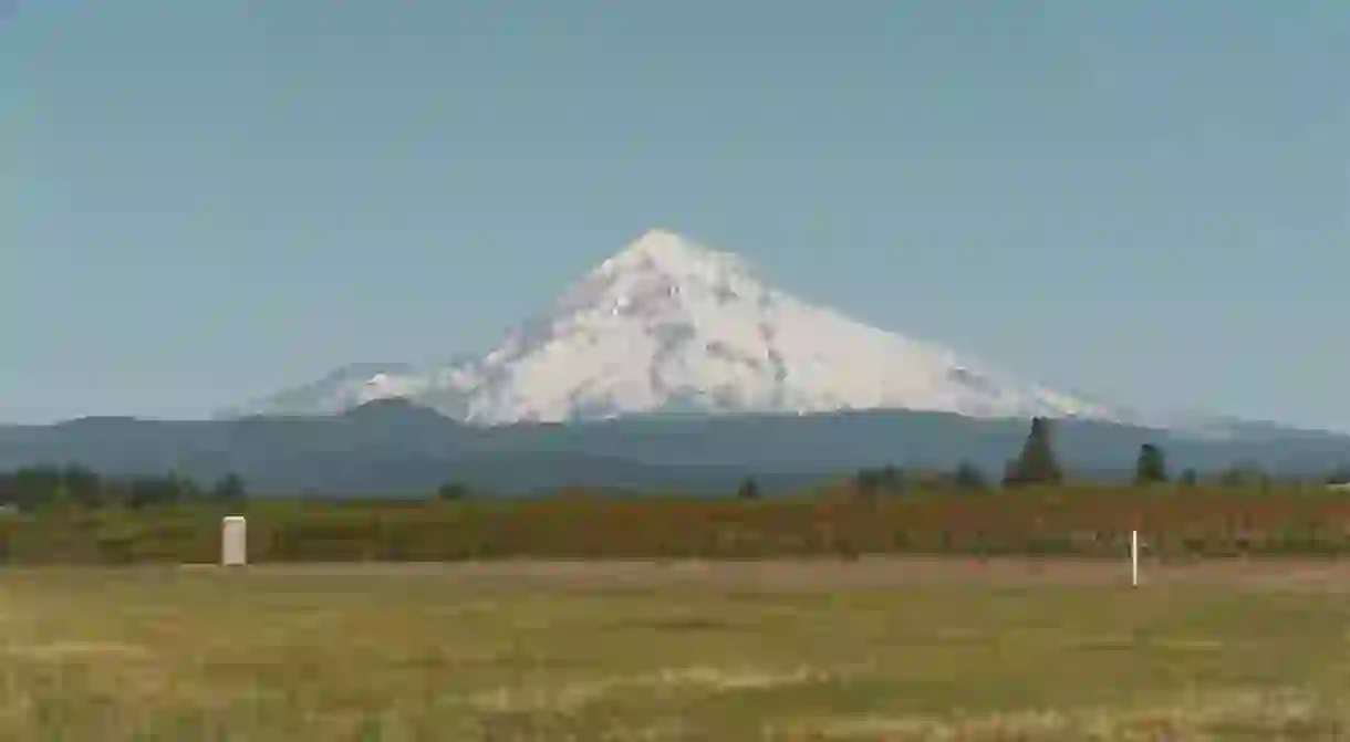 Mount Hood with tree farming in the foreground