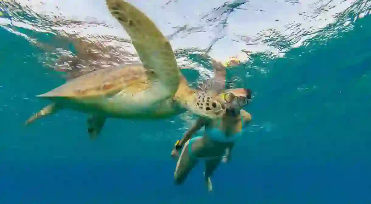 Woman snorkelling with a turtle in the Seychelles