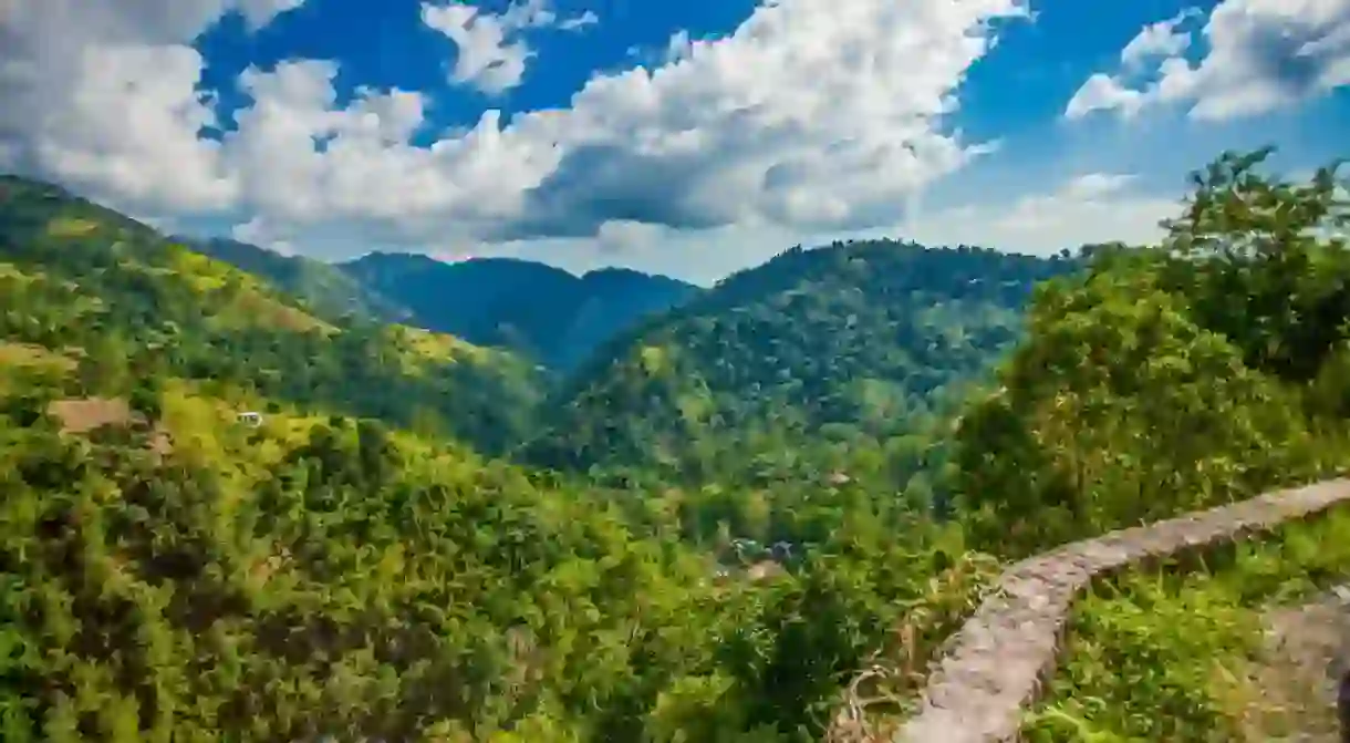Blue mountains of Jamaica coffee growth place hills