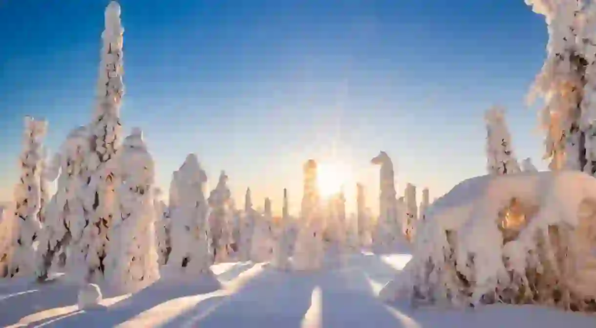 Winter wonderland in Finnish Lapland. Winter landscape from Riisitunturi National Park, Posio, Finland