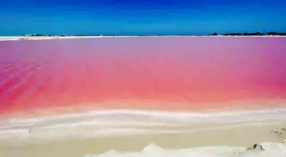 Las Coloradas in Zacatecas, Mexico. Las Coloradas, or blush red in Spanish, get its magenta pink hue from red-coloured algae, plankton and brine shrimp that live its salty waters.