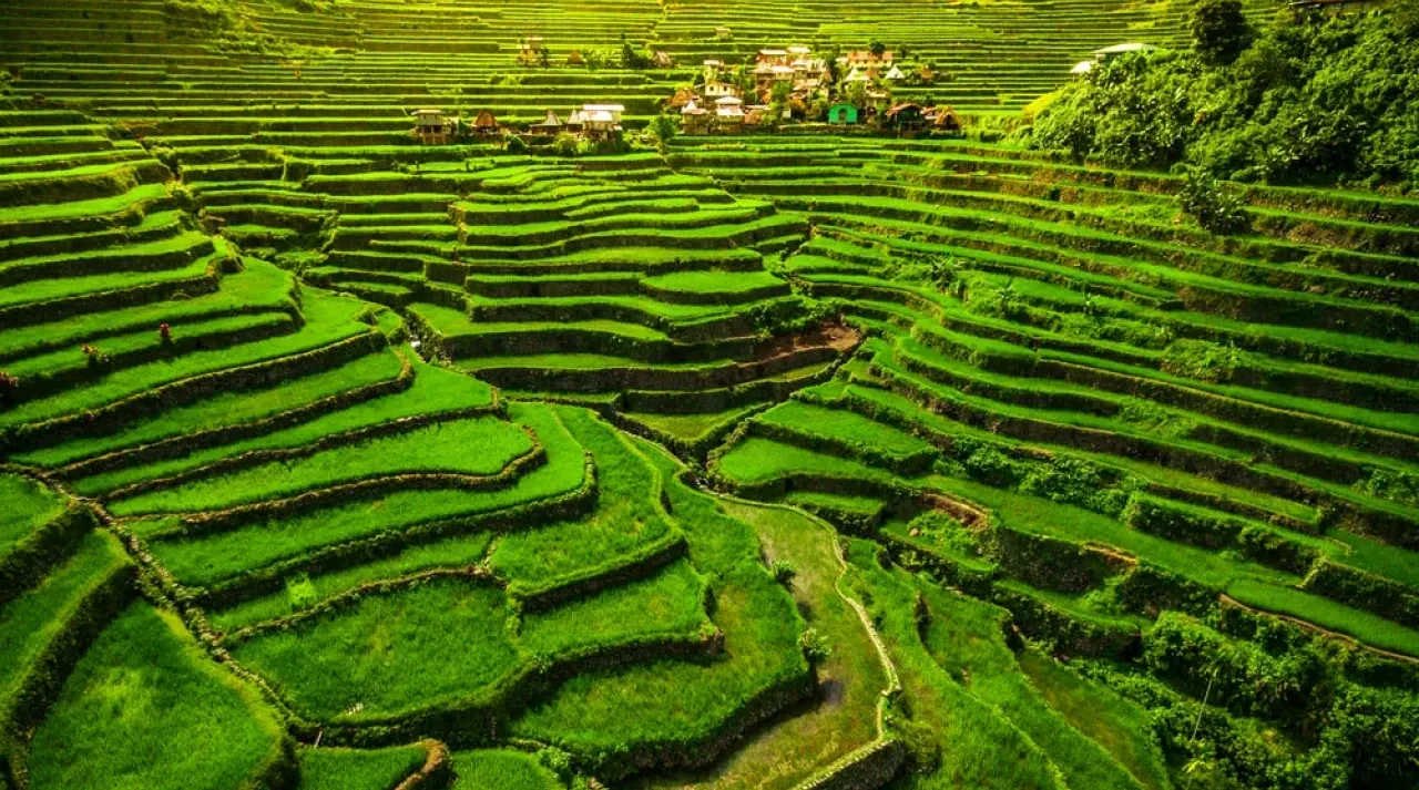 Rice Terraces of the Philippine Cordilleras